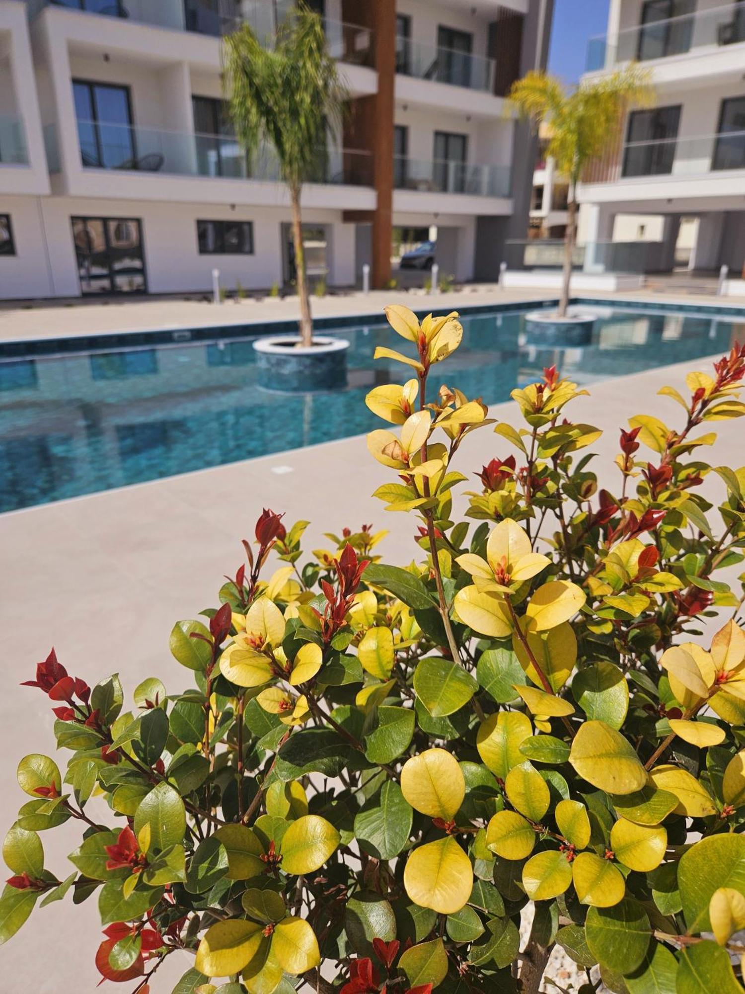 Superior Apartment, Universal Residences Apartment Paphos